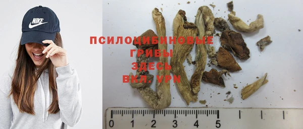 твердый Беломорск