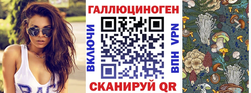 Псилоцибиновые грибы Psilocybe  дарк нет официальный сайт  Гай  кракен зеркало 