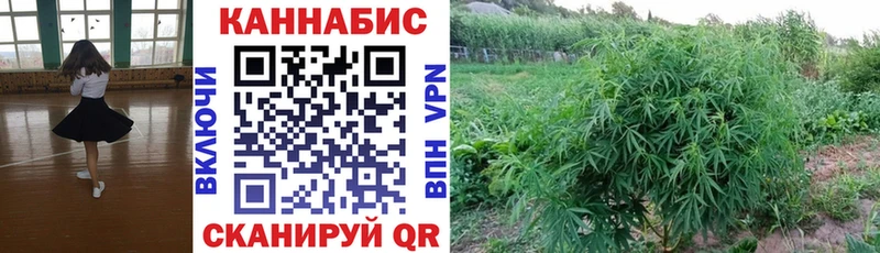 площадка официальный сайт  Гай  Конопля план 